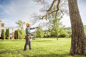 Best Root Management and Removal  in Oakbrook, KY
