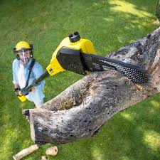 Best Organic Lawn Care Solutions  in Oakbrook, KY