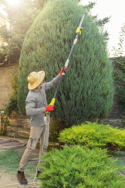 Best Utility Line Clearance  in Oakbrook, KY